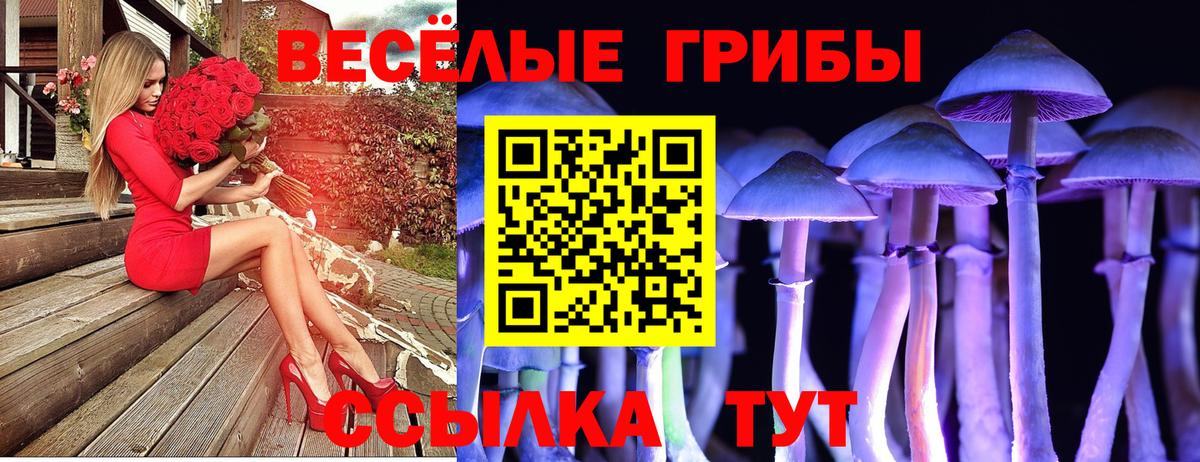 Псилоцибиновые грибы MAGIC MUSHROOMS Тихорецк