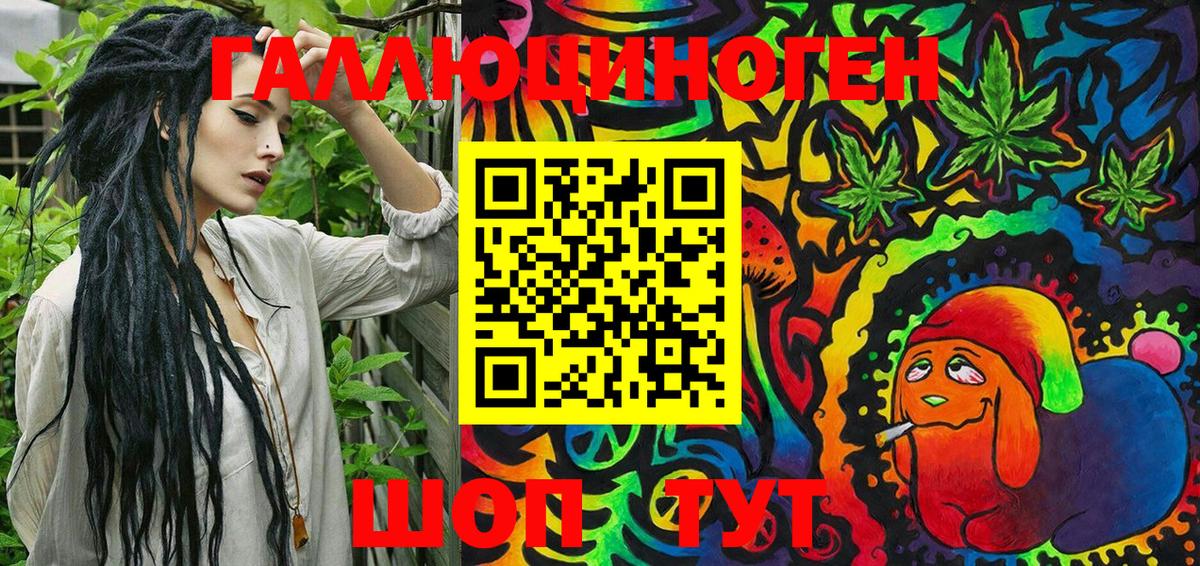 Псилоцибиновые грибы GOLDEN TEACHER  Вход с VPN  Тихорецк  Псилоцибиновые грибы Psilocybine cubensis 